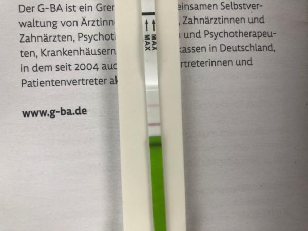 Bild zu 