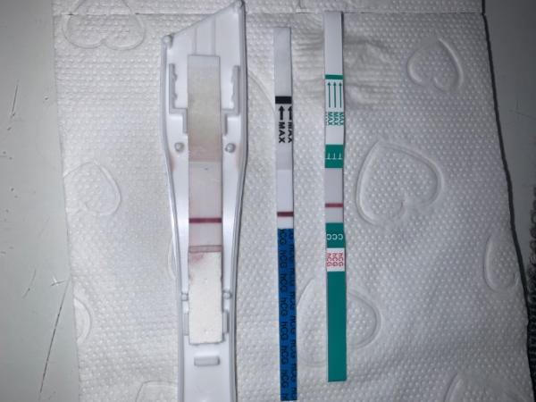 Bild zu Z1 Pharma, one step & presense - Kinderwunsch - was tun, um schwanger zu werden?