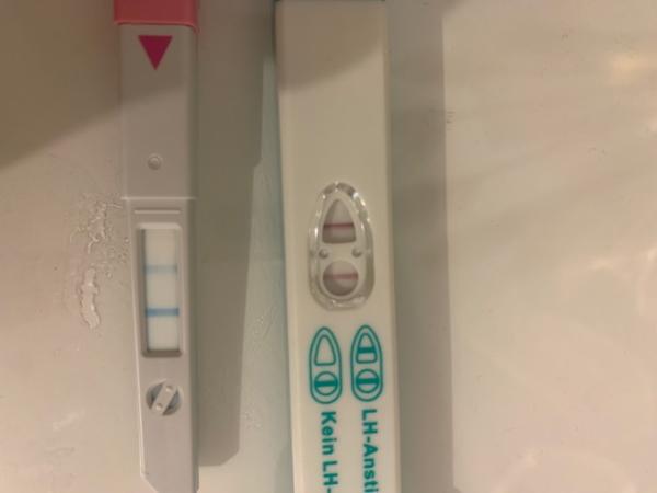 Bild zu Ovulationstest - Kinderwunsch - was tun, um schwanger zu werden?