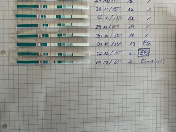 Bild zu Welcher ovu ist aussagekräftig? - Kinderwunsch - was tun, um schwanger zu werden?