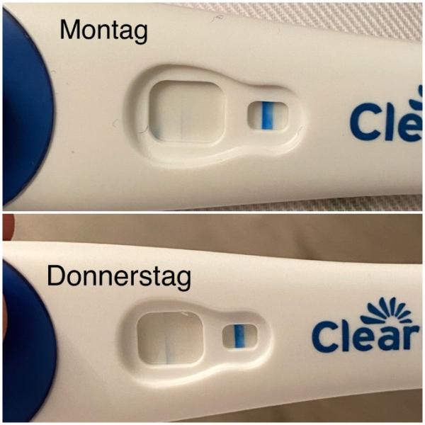 Bild zu Bin ich Schwanger clearblue - Kinderwunsch - was tun, um schwanger zu werden?