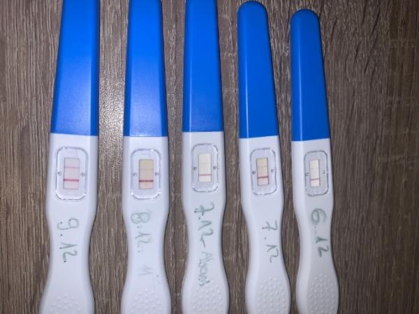 Bild zu Wann eisprung ? - Kinderwunsch - was tun, um schwanger zu werden?