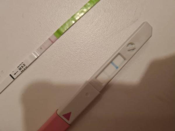 Bild zu Ovus von onstep u Cb - Kinderwunsch - was tun, um schwanger zu werden?