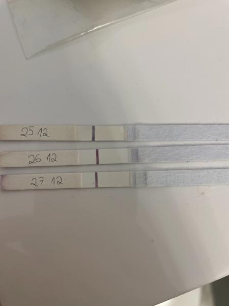 Bild zu ss test, sehr schwache linie oder keine da? - Kinderwunsch - was tun, um schwanger zu werden?