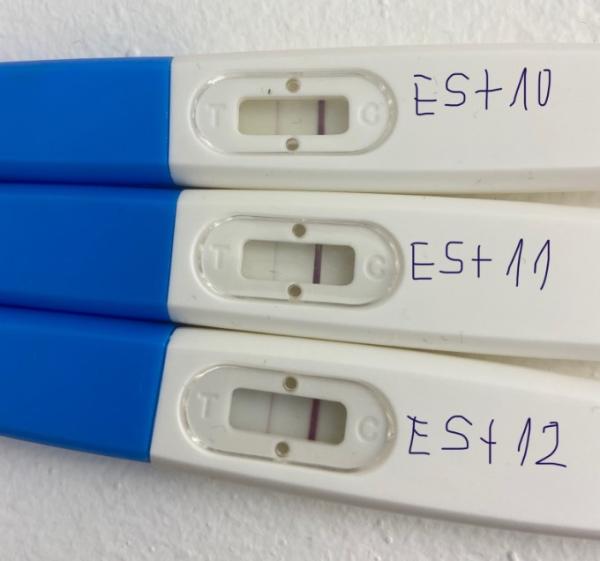 Bild zu Rest-HCG nach 10 Wochen??? - Kinderwunsch - was tun, um schwanger zu werden?