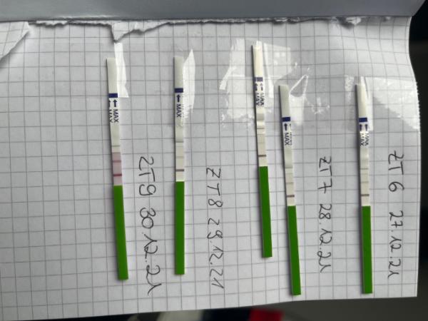 Bild zu Ovulationstest - Kinderwunsch - was tun, um schwanger zu werden?