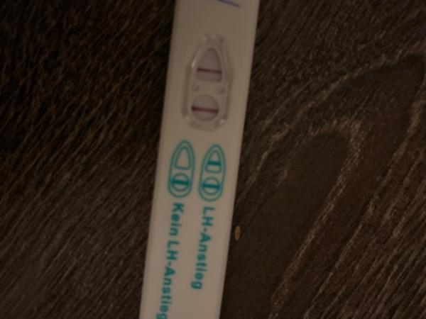 Bild zu Erste mal Ovu-Test durchgeführt - Kinderwunsch - was tun, um schwanger zu werden?