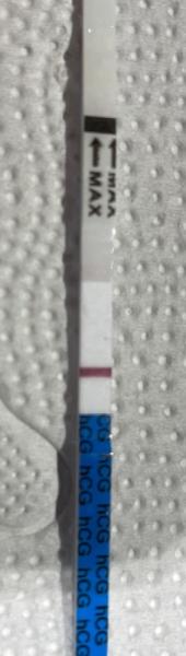 Bild zu Ovitrelle Abbau - Kinderwunsch - was tun, um schwanger zu werden?