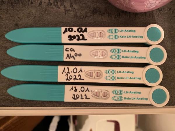 Bild zu Ovulationstest - Kinderwunsch - was tun, um schwanger zu werden?