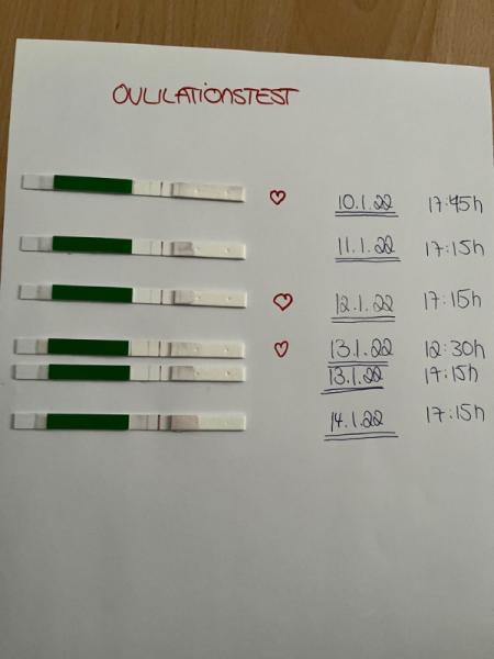 Bild zu Ovulationstest - Kinderwunsch - was tun, um schwanger zu werden?