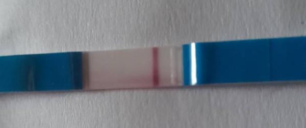 Bild zu Facelle Streifen tests 2 striche und Stick negativ - Kinderwunsch - was tun, um schwanger zu werden?