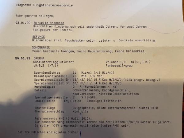 Bild zu Spermiogramm - Kinderwunsch - was tun, um schwanger zu werden?