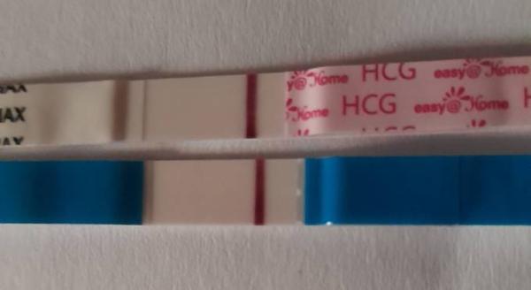 Bild zu Facelle vs. Easy@home es+11 seht ihr was? - Kinderwunsch - was tun, um schwanger zu werden?