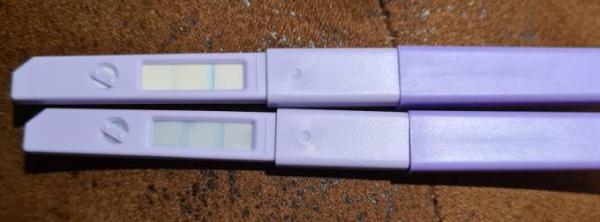 Bild zu Wann Eisprung? - Kinderwunsch - was tun, um schwanger zu werden?