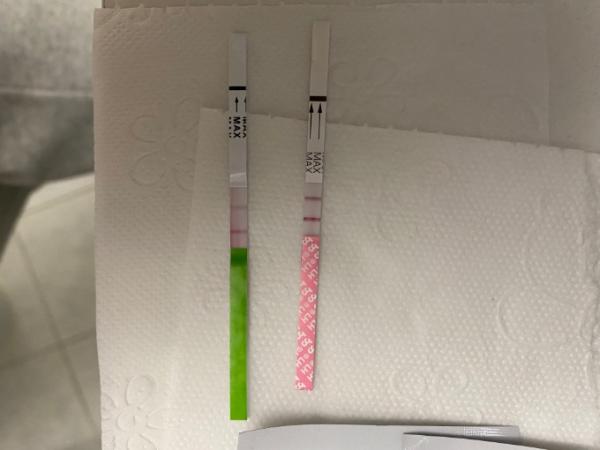 Bild zu Ovulationstest-Verwirrung - Kinderwunsch - was tun, um schwanger zu werden?