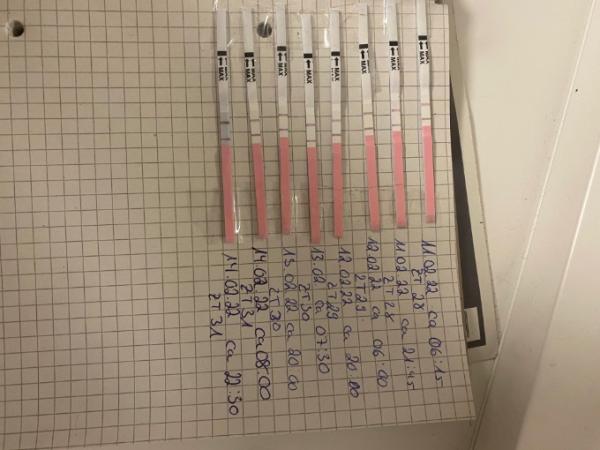 Bild zu Brauche hilfe - Kinderwunsch - was tun, um schwanger zu werden?