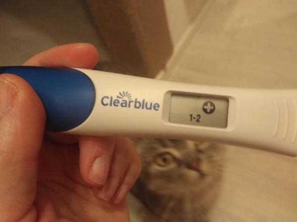 Bild zu Clearblue ES+13 positiv aber etwas ist komisch - Kinderwunsch - was tun, um schwanger zu werden?
