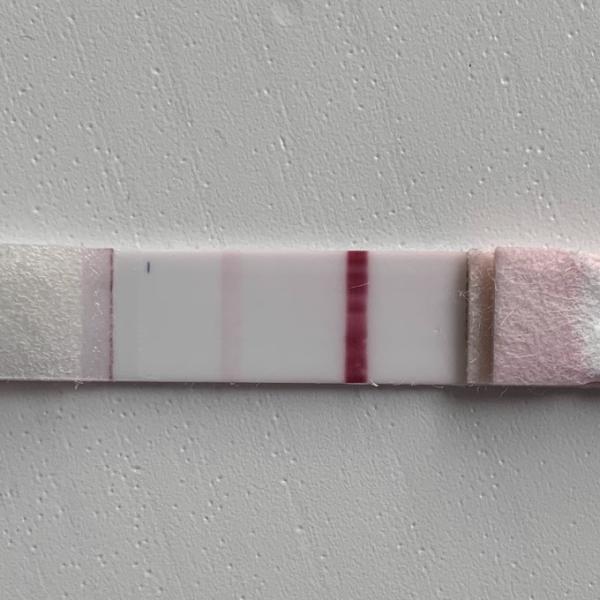 Bild zu Schwanger?! 🤭 - Kinderwunsch - was tun, um schwanger zu werden?