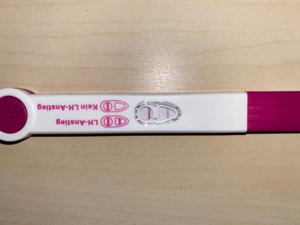 Bild zu Ovolationstest - Kinderwunsch - was tun, um schwanger zu werden?