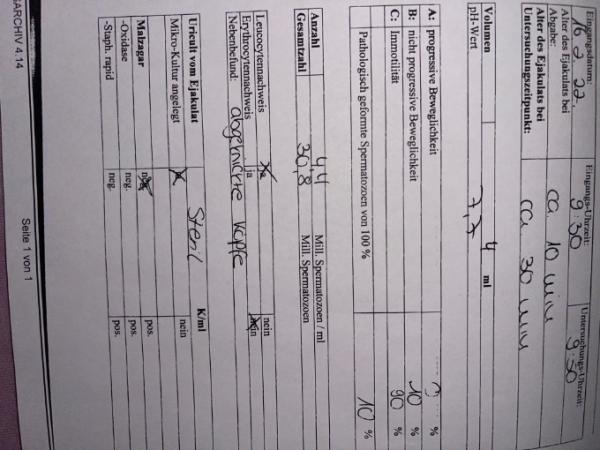 Bild zu Spermiogram meines Mannes Hilfe !! - Kinderwunsch - was tun, um schwanger zu werden?