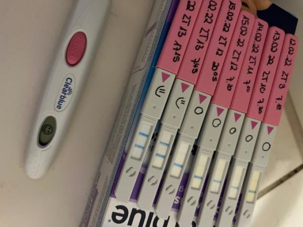 Bild zu Ovu positiv - hat‘s gereicht? - Kinderwunsch - was tun, um schwanger zu werden?