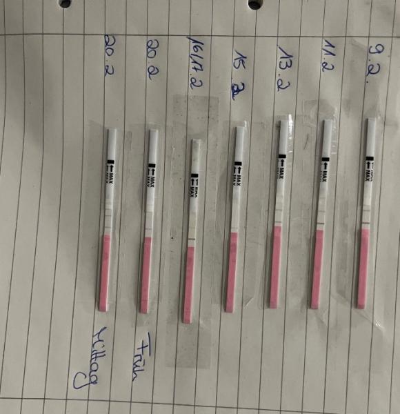 Bild zu Ovulationstest Positiv über mehrere Tage - Kinderwunsch - was tun, um schwanger zu werden?