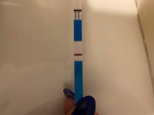 Bild zu Schwanger ? - Kinderwunsch - was tun, um schwanger zu werden?