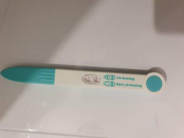 Bild zu Ovaluationstest - Kinderwunsch - was tun, um schwanger zu werden?