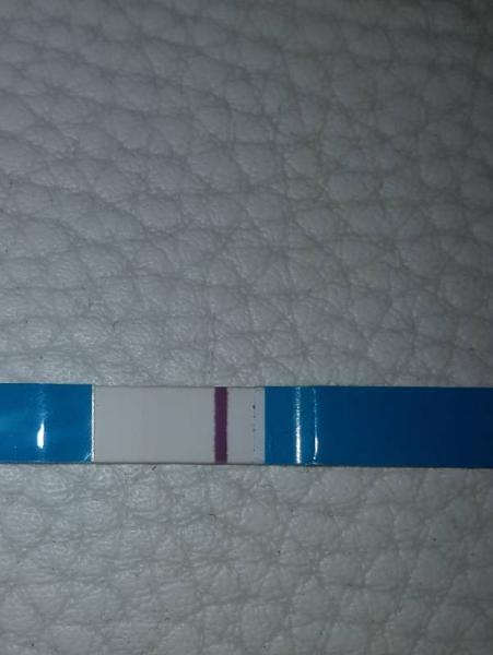 Bild zu Positiv oder negativ - Kinderwunsch - was tun, um schwanger zu werden?