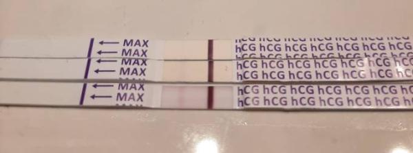 Bild zu Ich kanns nicht so recht glauben - Kinderwunsch - was tun, um schwanger zu werden?