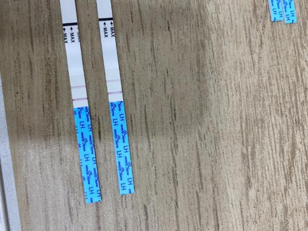 Bild zu Ovulationstest - Kinderwunsch - was tun, um schwanger zu werden?