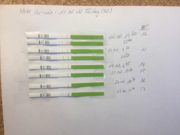 Bild zu kein ES? - Kinderwunsch - was tun, um schwanger zu werden?