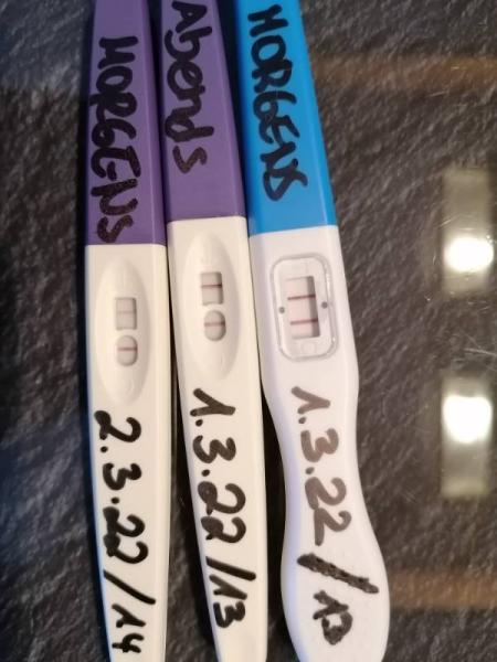 Bild zu Ovulationstest - Kinderwunsch - was tun, um schwanger zu werden?