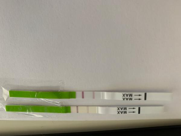 Bild zu Ovulations Test - Kinderwunsch - was tun, um schwanger zu werden?