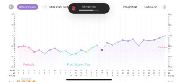 Bild zu Es+15 Tempi steigt weiter aber Test negativ - Kinderwunsch - was tun, um schwanger zu werden?