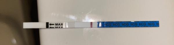 Bild zu Schwanger ja oder nein ? - Kinderwunsch - was tun, um schwanger zu werden?