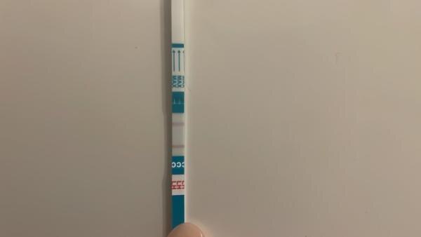 Bild zu Ovu an ZT 5 positiv - Kinderwunsch - was tun, um schwanger zu werden?