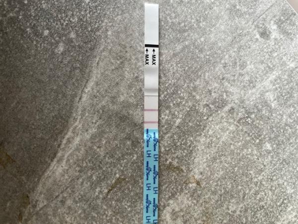 Bild zu Letrozol LH hoch aber noch periode - Kinderwunsch - was tun, um schwanger zu werden?