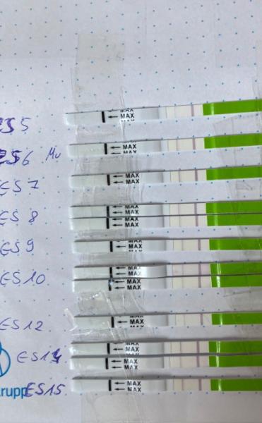 Bild zu Orakel und SST - Kinderwunsch - was tun, um schwanger zu werden?