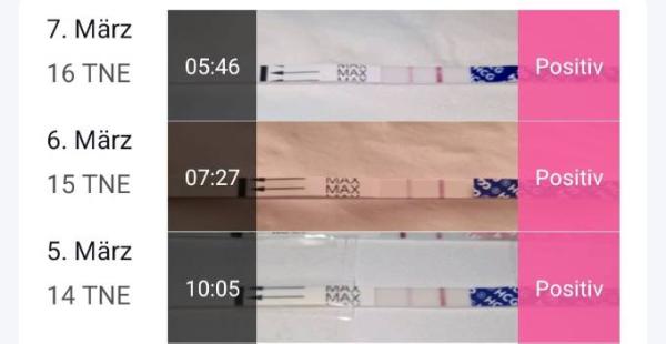 Bild zu Positiver SST - keine Veränderung der Intensität - Kinderwunsch - was tun, um schwanger zu werden?