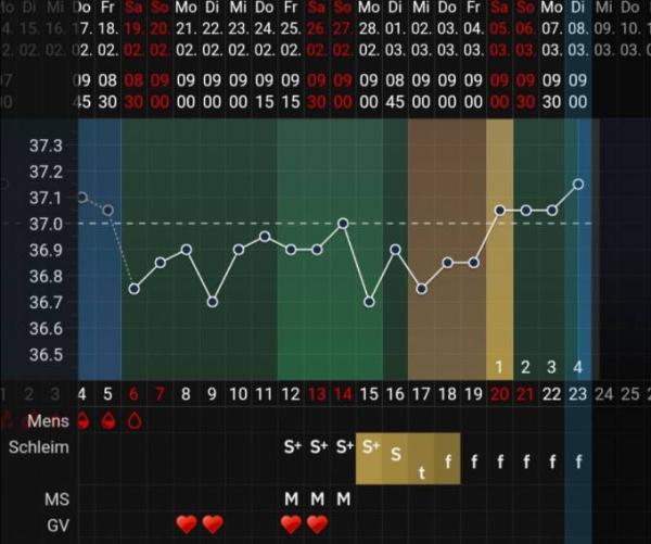 Bild zu Schaut mal bitte auf meine Kurve - Kinderwunsch - was tun, um schwanger zu werden?