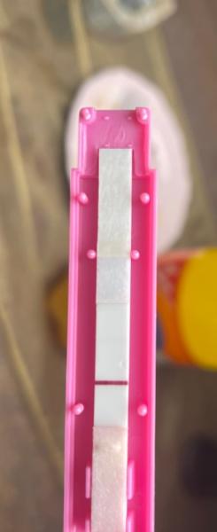 Bild zu Schwangerschaftstest - Kinderwunsch - was tun, um schwanger zu werden?