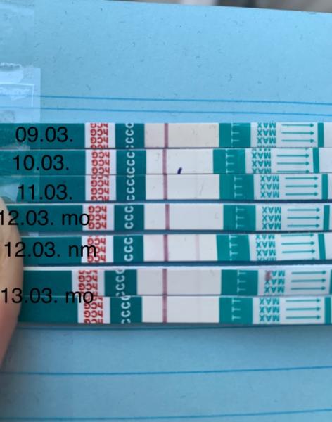 Bild zu SST stärker, schwächer, stärker… Verdacht auf ELSS… Hilfe bitte - Kinderwunsch - was tun, um schwanger zu werden?