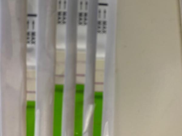 Bild zu Ovulationstest - Kinderwunsch - was tun, um schwanger zu werden?