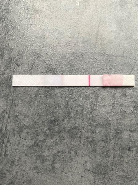 Bild zu Presense ES+10 - Kinderwunsch - was tun, um schwanger zu werden?