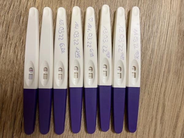 Bild zu Ovulationstests - Kinderwunsch - was tun, um schwanger zu werden?