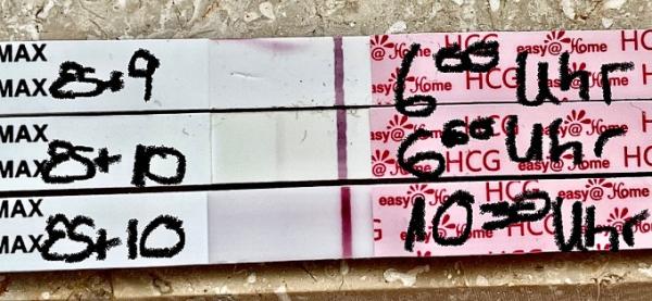 Bild zu VL oder Positiv? - Kinderwunsch - was tun, um schwanger zu werden?