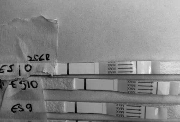 Bild zu Sst wann positiv oder nur Einbildung … bin so ungeduldig - Kinderwunsch - was tun, um schwanger zu werden?