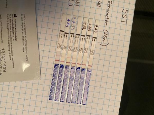 Bild zu Testreihe ok? - Kinderwunsch - was tun, um schwanger zu werden?