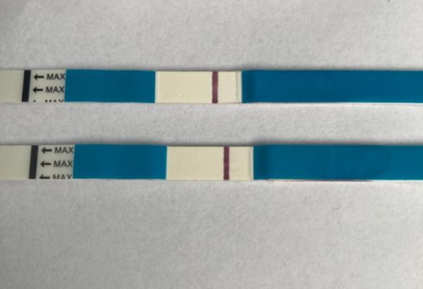 Bild zu Wer sieht auch einen Schatten? - Kinderwunsch - was tun, um schwanger zu werden?